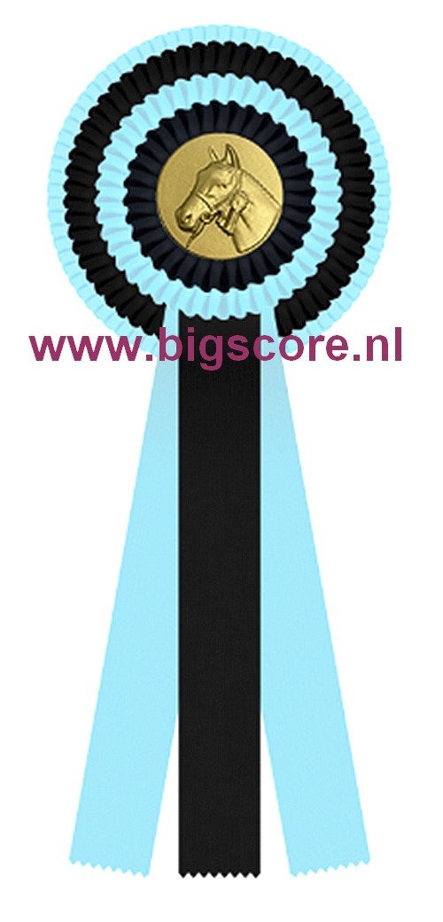 R 04 Multi 4-Ringsrozet Ø 15,5 L: 39,5 cm Blanco met optie Full-Colour logo Ø 50 mm